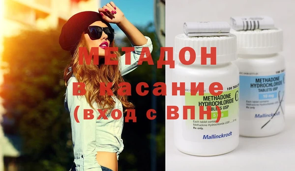 прущие грибы Верея