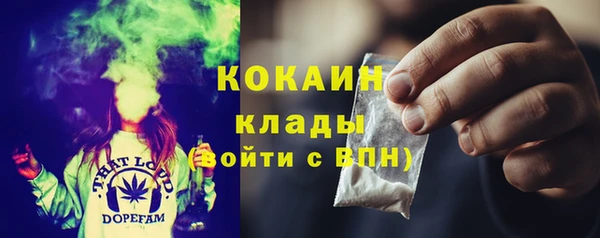 прущие грибы Верея