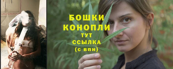 прущие грибы Верея
