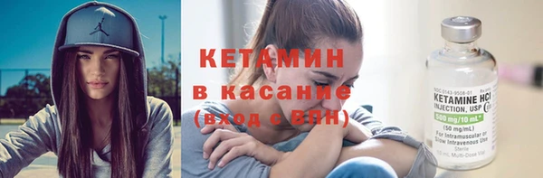 прущие грибы Верея