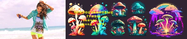 прущие грибы Верея