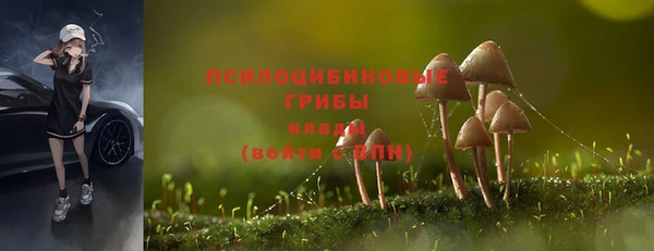 молекула духа Верхний Тагил