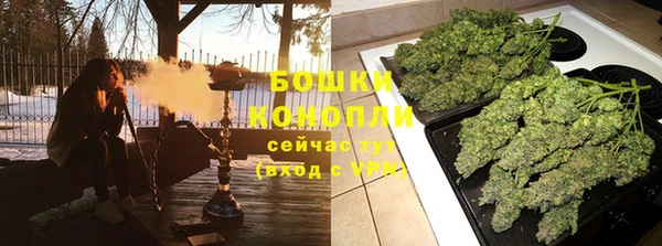 прущие грибы Верея