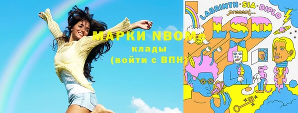 прущие грибы Верея