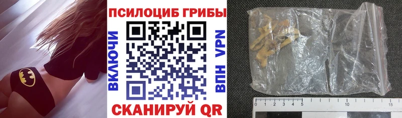 Купить  Чулым  Псилоцибиновые грибы GOLDEN TEACHER 